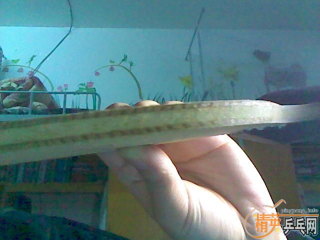 ��Ұ￴ ���  H-WL  �ǲ�����Ʒ��