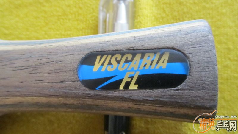 ��۳�VIS ֧����