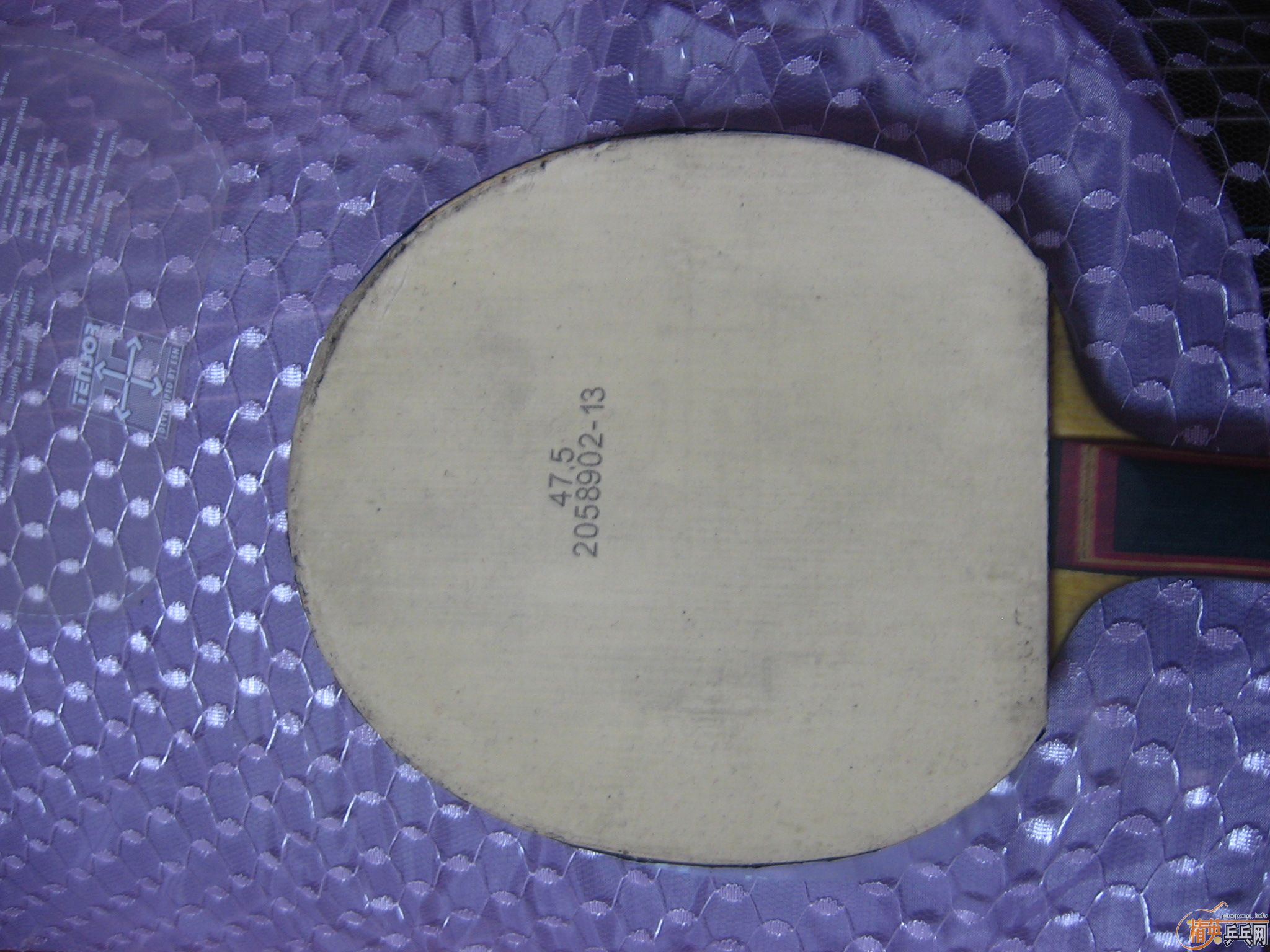 �� XIOM ŷ����2  ��ɫ ֧��֧��������