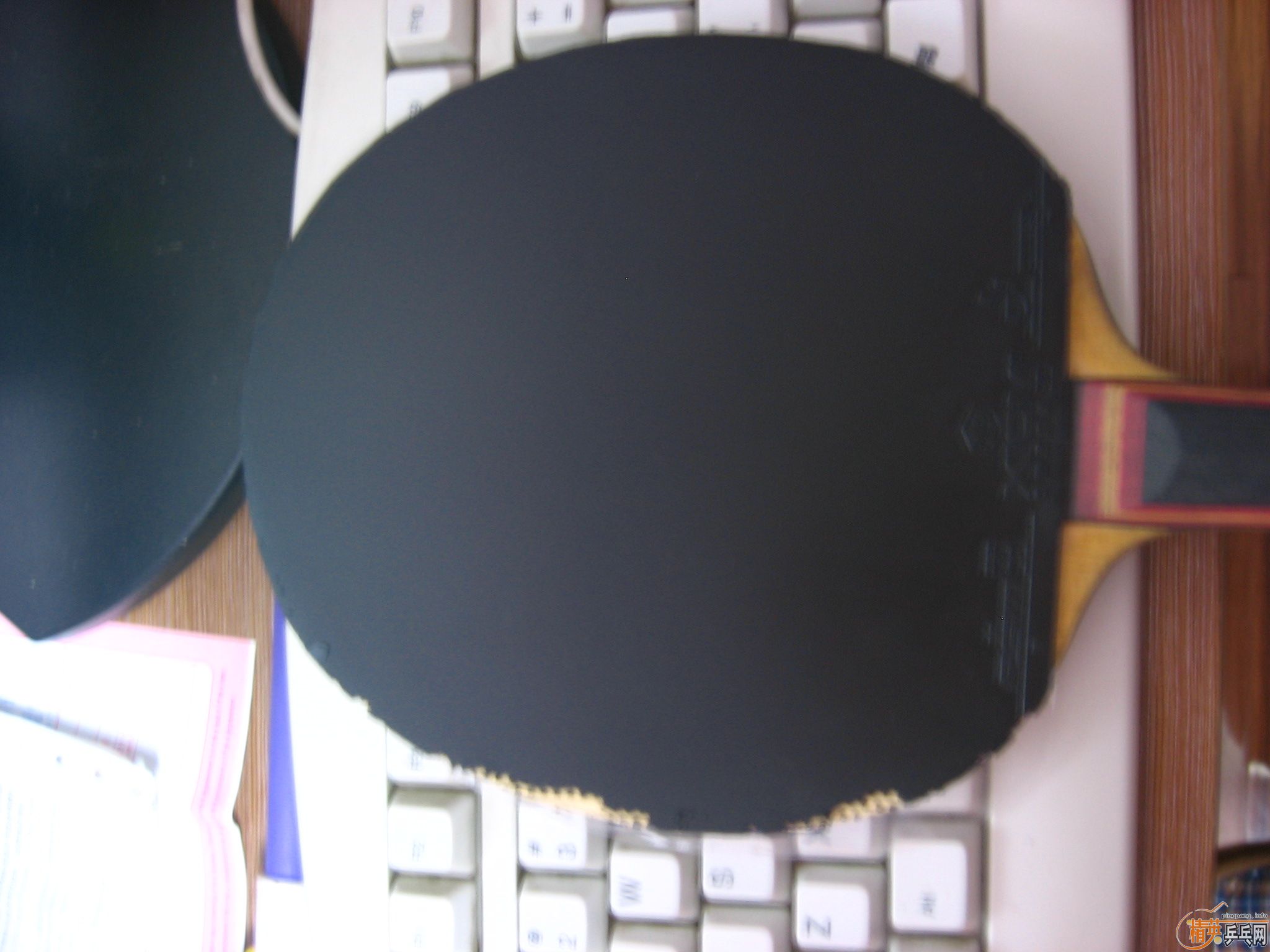 �� XIOM ŷ����2  ��ɫ ֧��֧��������