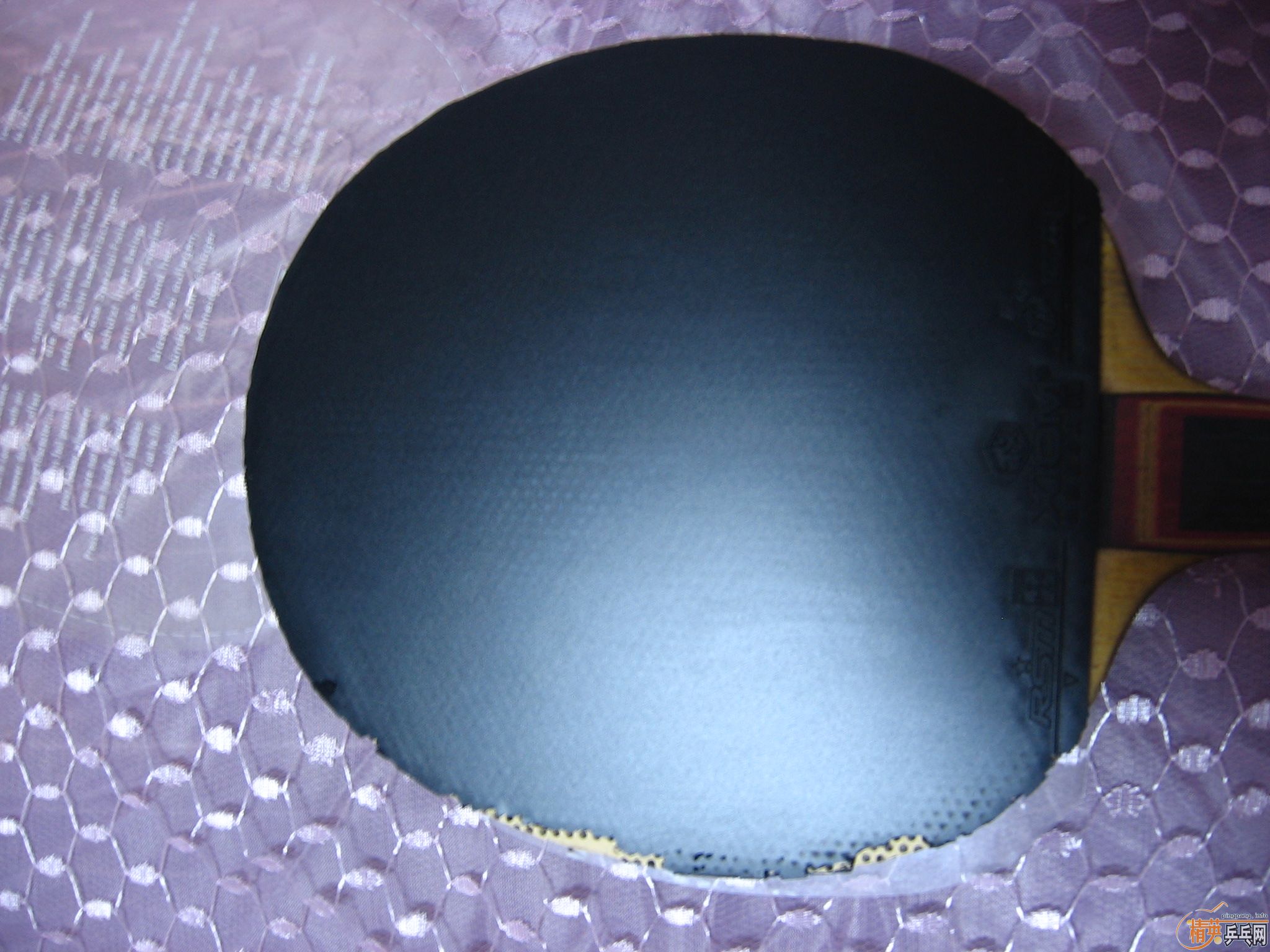 �� XIOM ŷ����2  ��ɫ ֧��֧��������