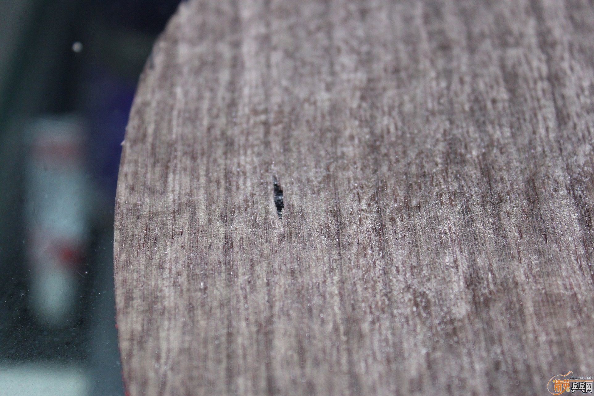 [ԭ��]�����л����̼��7.6����������֧��֧����