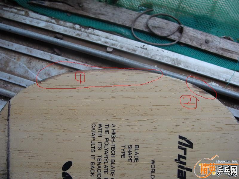 �����������������������