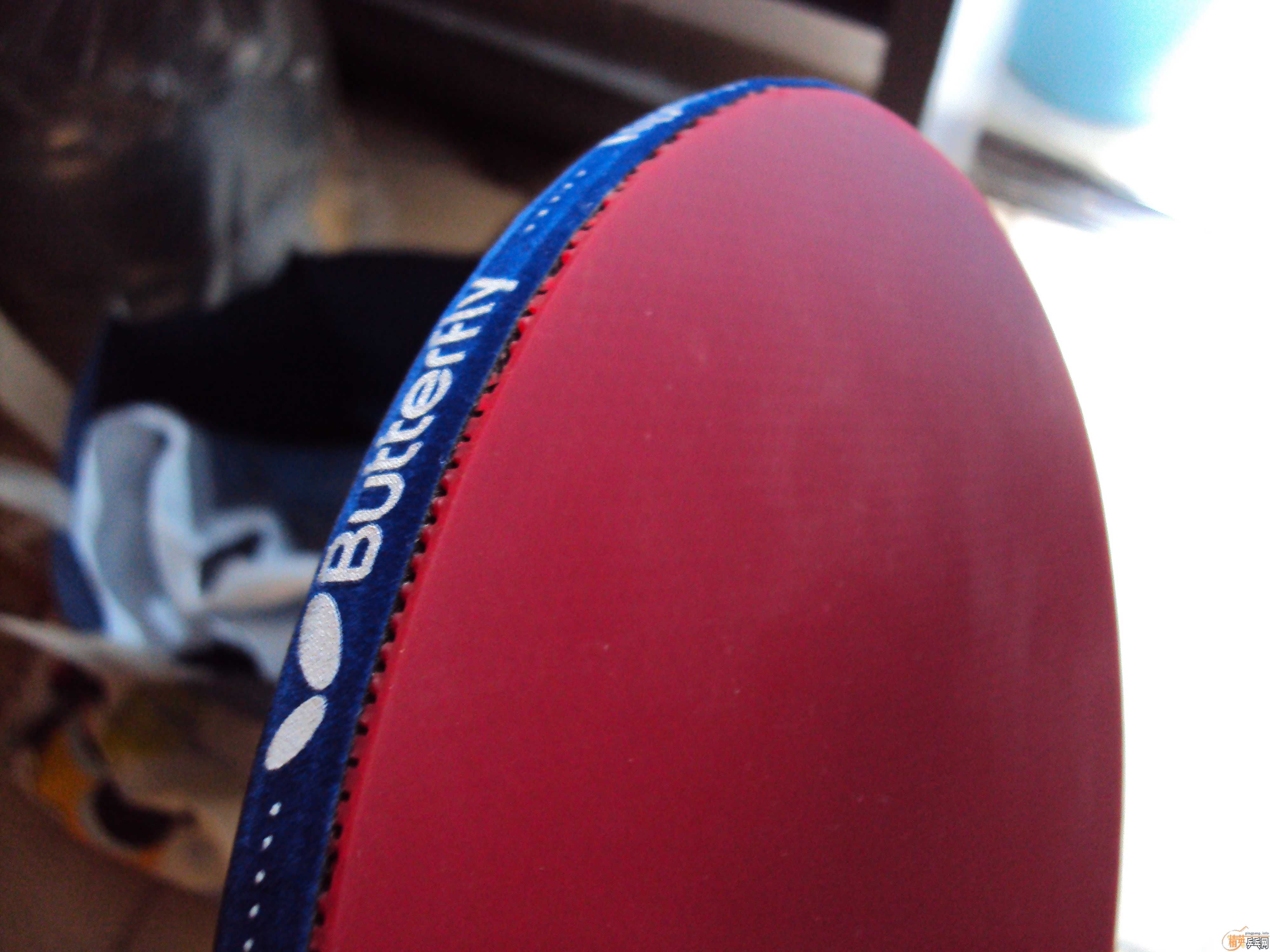 ��BOLL ALC ST+����XIOM VEGA PRO 2.1MM��Ψ�ѻ�Ȧ��