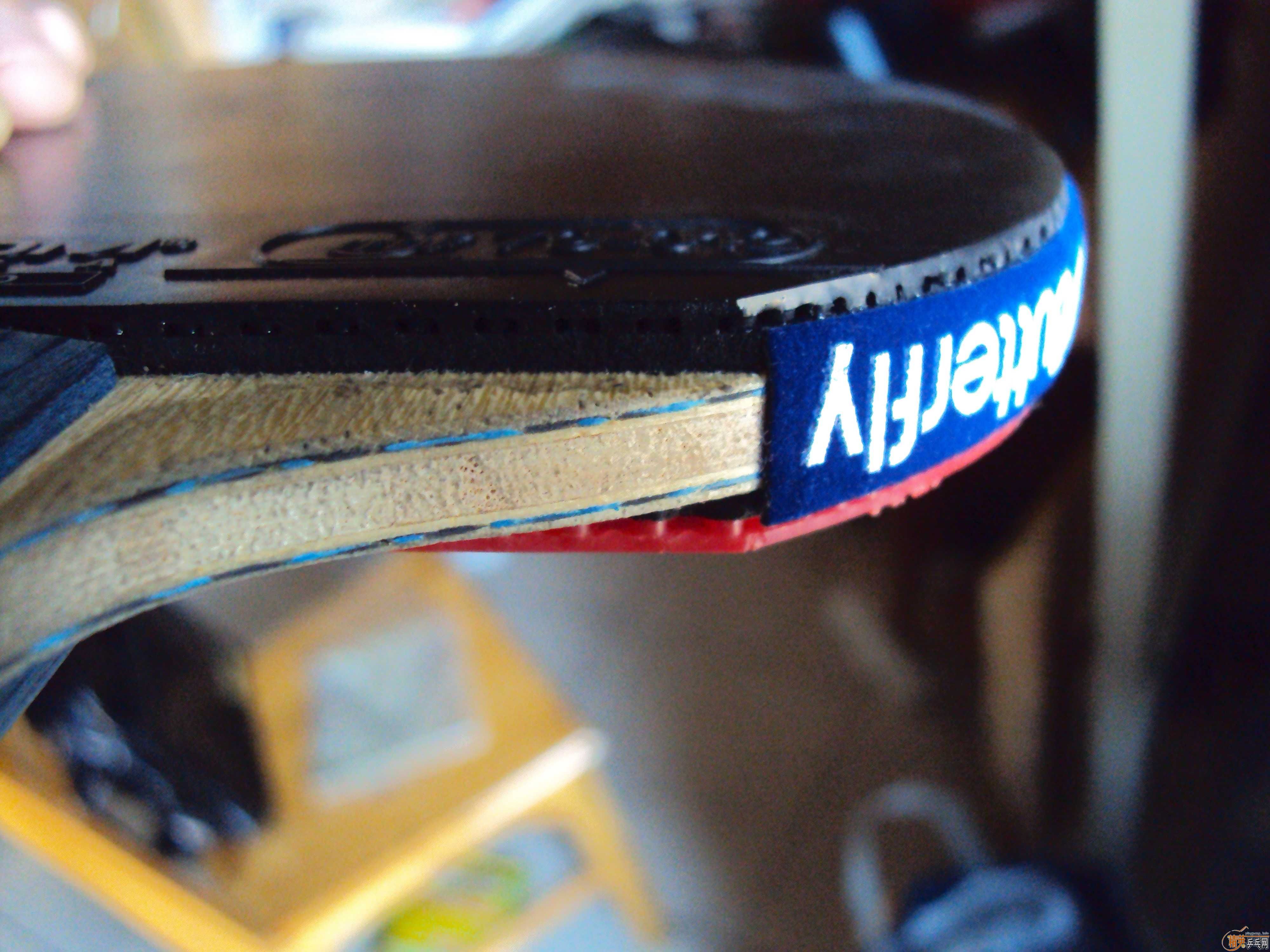 ��BOLL ALC ST+����XIOM VEGA PRO 2.1MM��Ψ�ѻ�Ȧ��