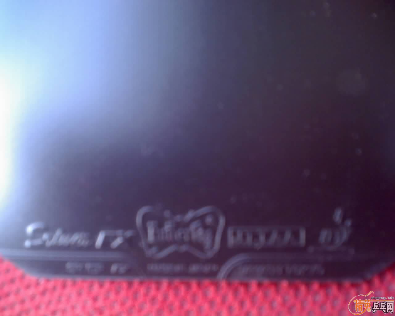 ���������������ѳ�ŷ��cl-cr�װ�