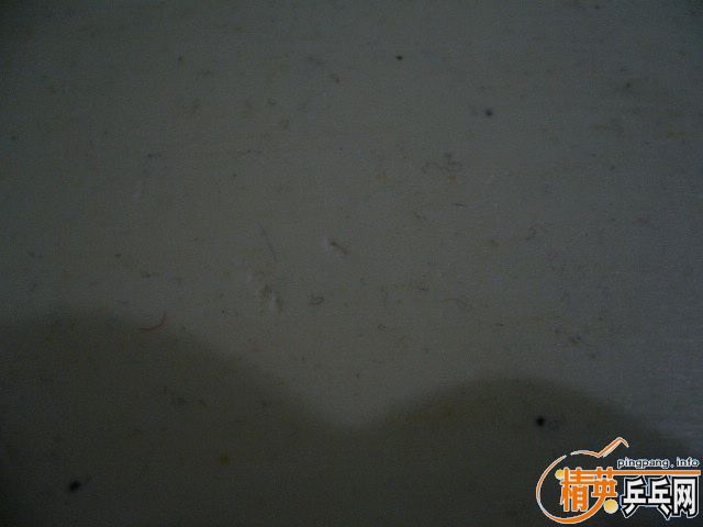 ľ����+���ã�600���ʣ�֧��֧������