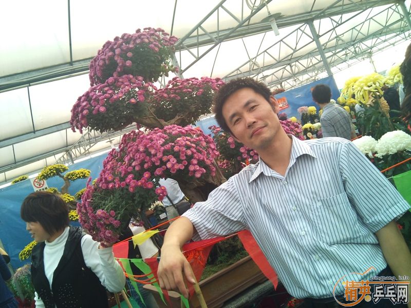 2010С魾չ֮˱Ȼ