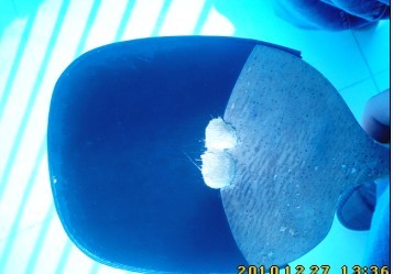 ���룡���Ͽ���ֱ���׽�һ��480Ԫ������ֱҲ���ԡ�