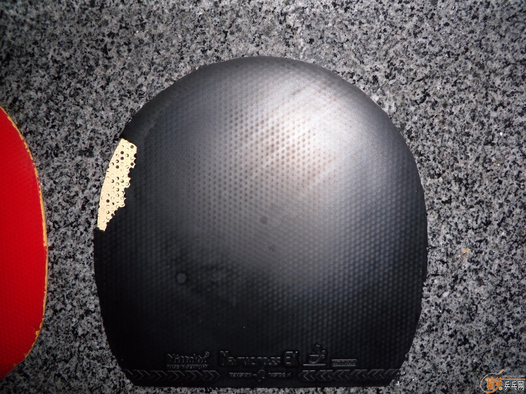 ֧������ʮ�־�EXӲ2.0��С����MAX HARD