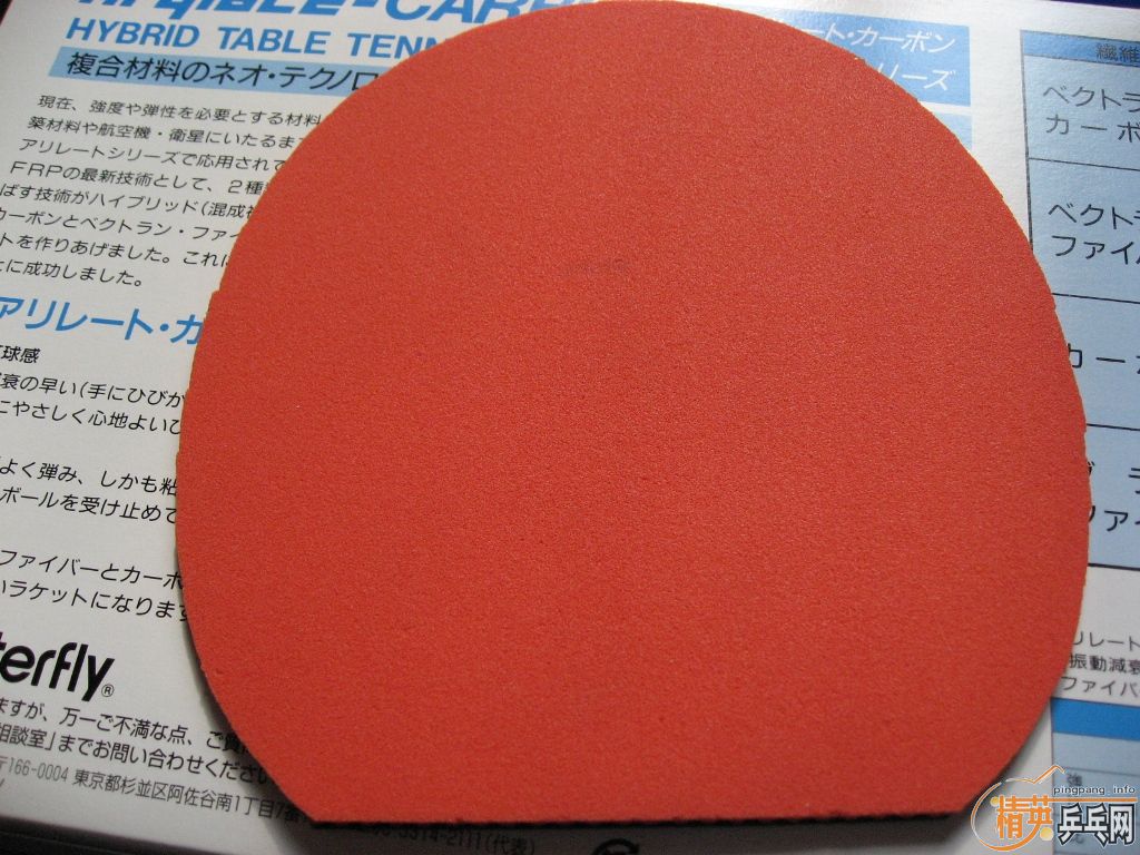 T05  ��ɫ ����