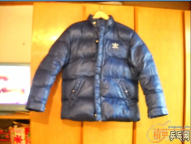 ��ʣ����������޷���һ����Ҷ�ݣ�һ���Ϳˡ�