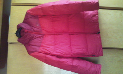 ��ʣ����������޷���һ����Ҷ�ݣ�һ���Ϳˡ�