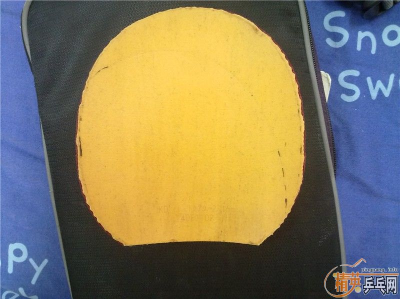 5�Ž�Ƥ �������