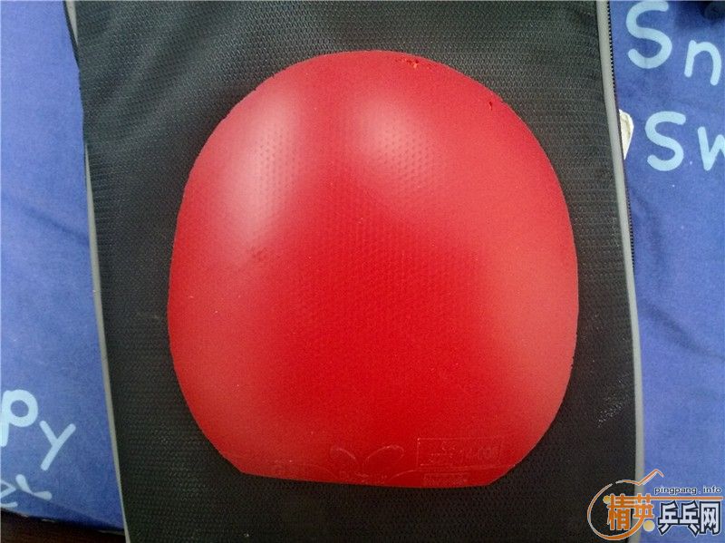 5�Ž�Ƥ �������