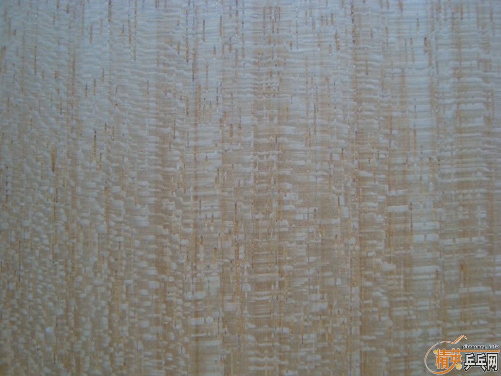 ��ҹ������������