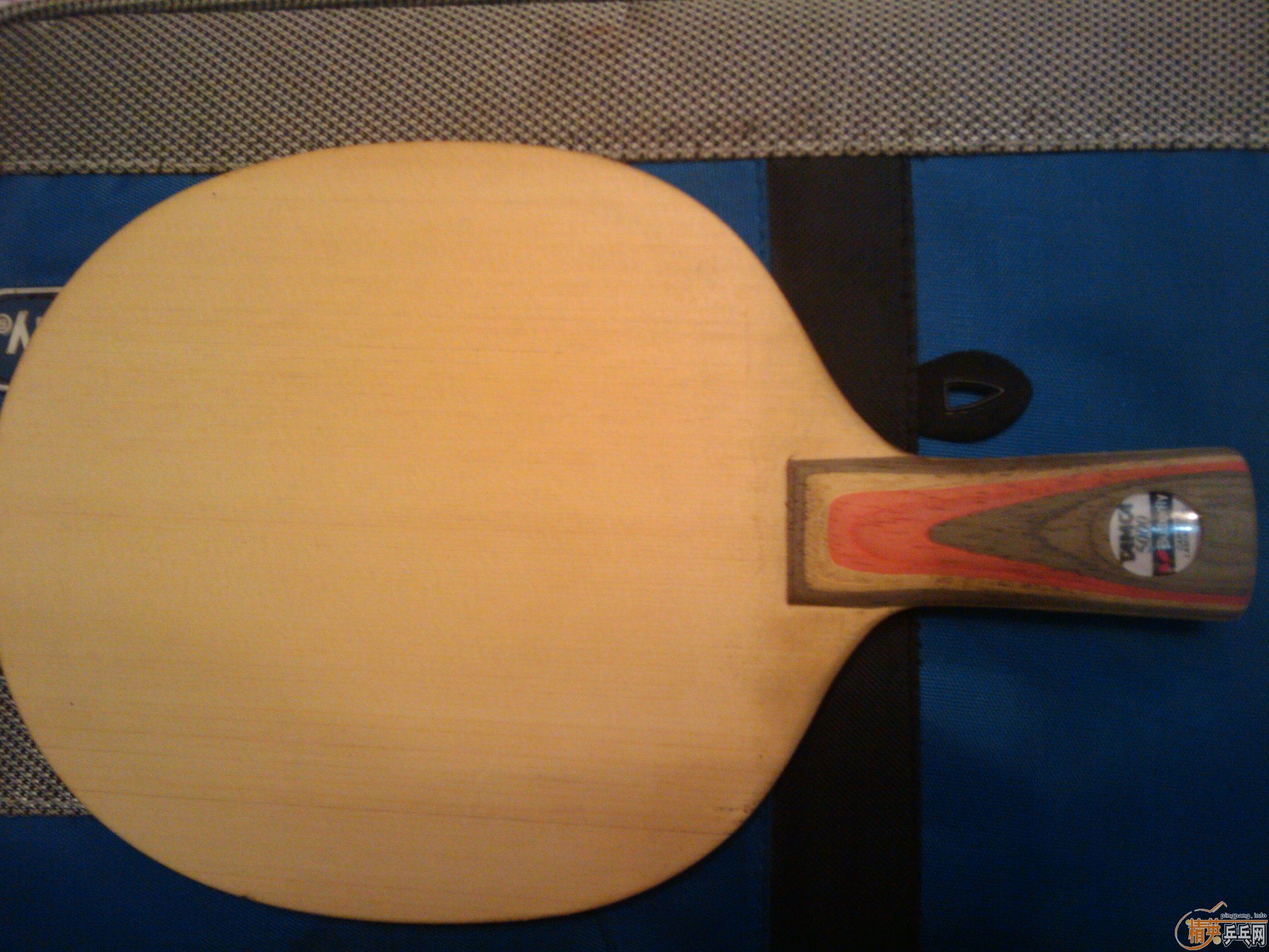 ���ѳ�95����̼һֻ450����ͨ