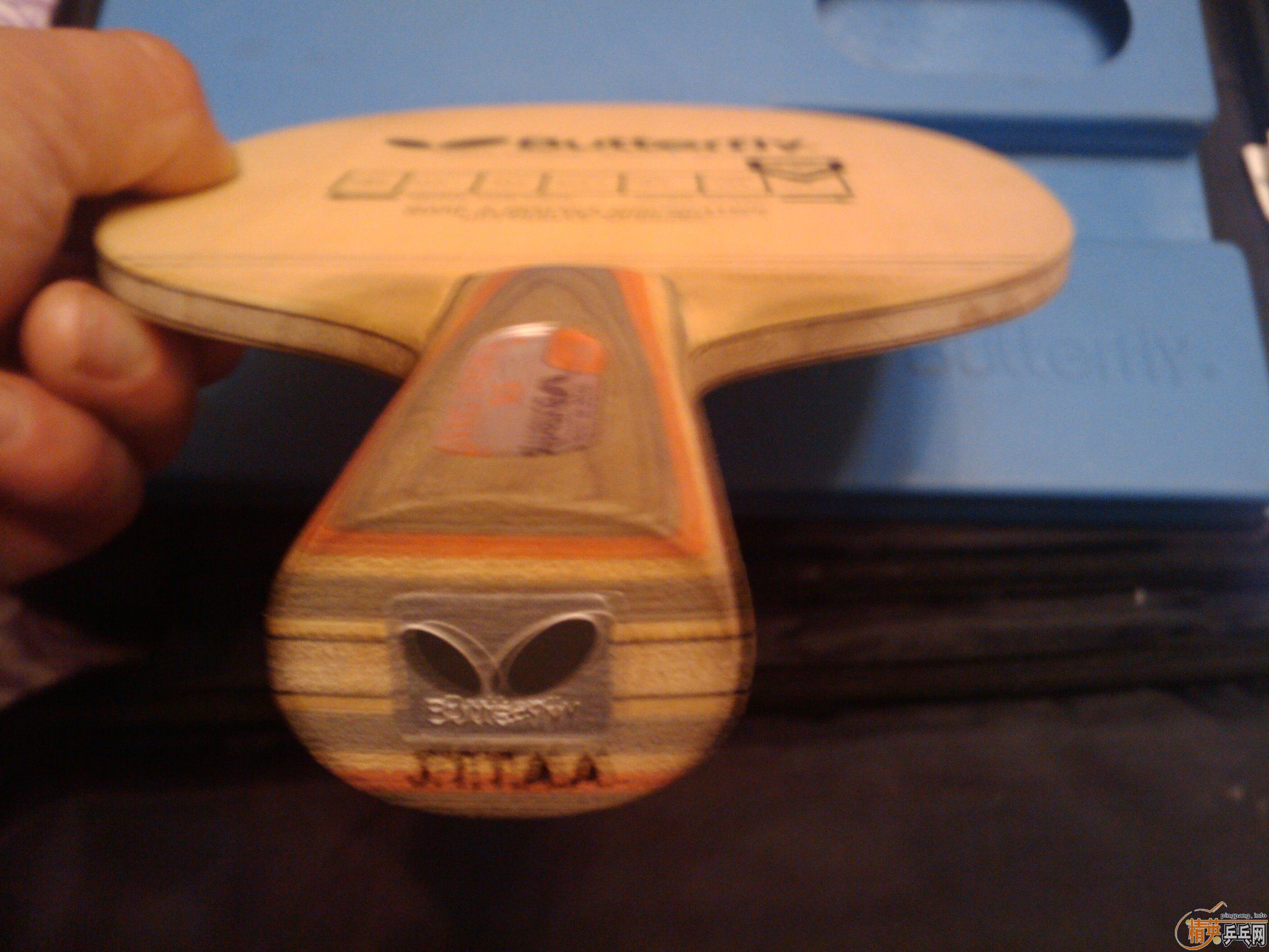 ���ѳ�95����̼һֻ450����ͨ