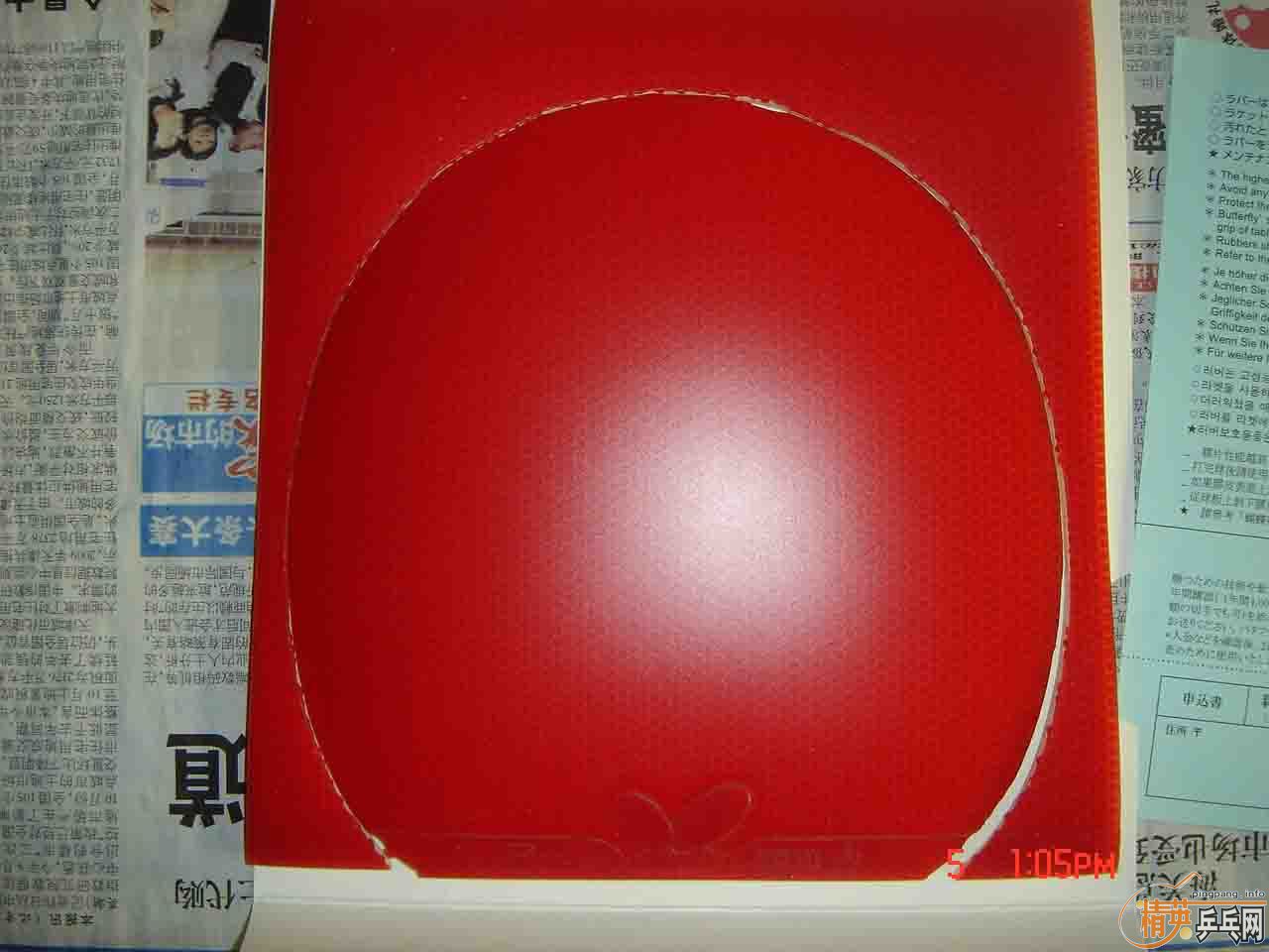 ֧���������º�ɫ���ֻ�������