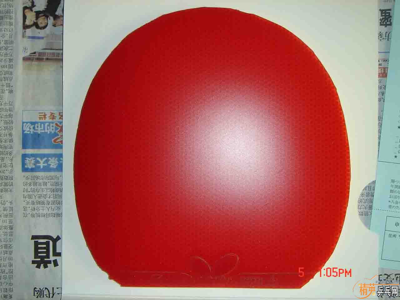 ֧���������º�ɫ���ֻ�������