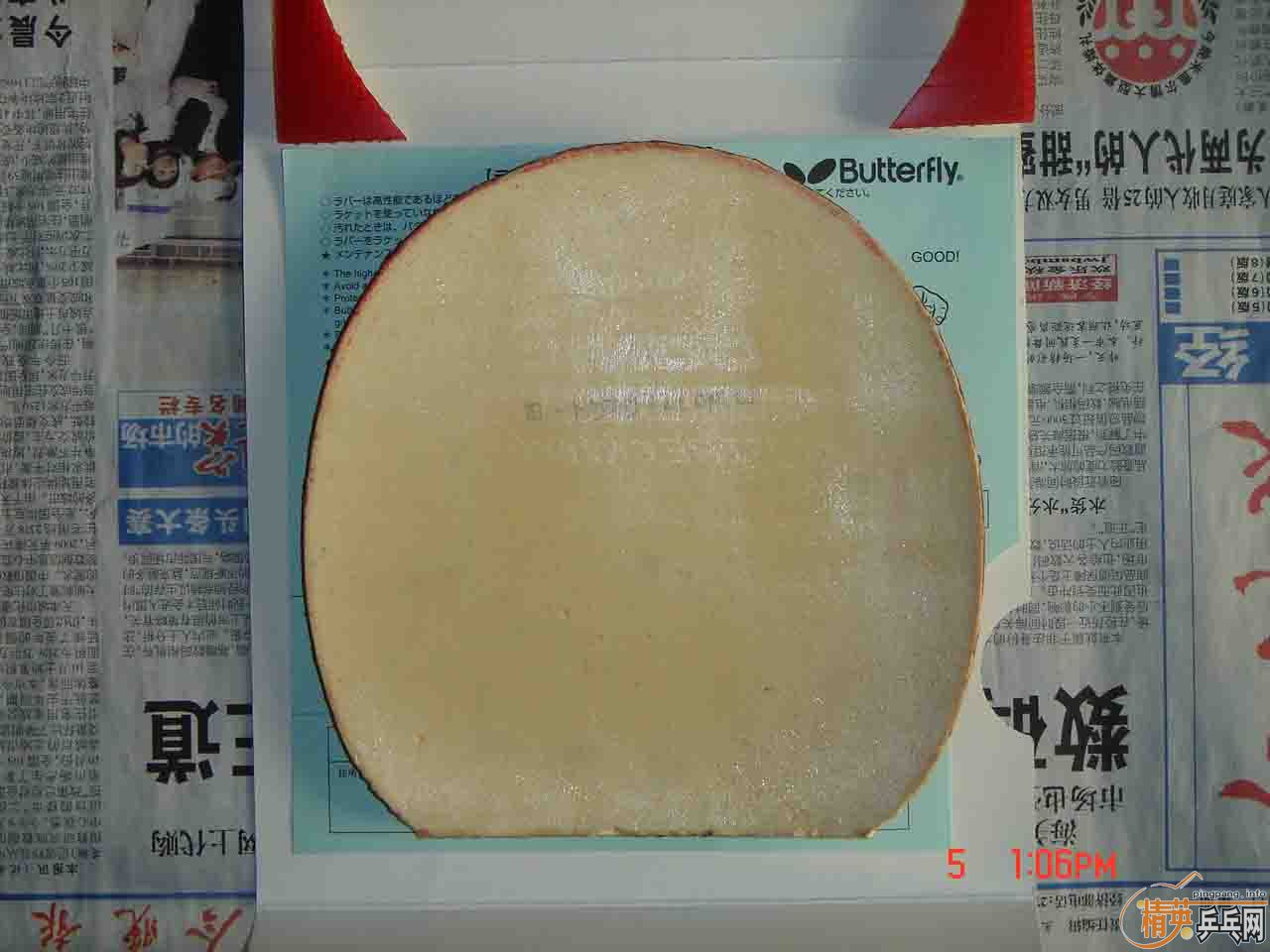 ֧���������º�ɫ���ֻ�������