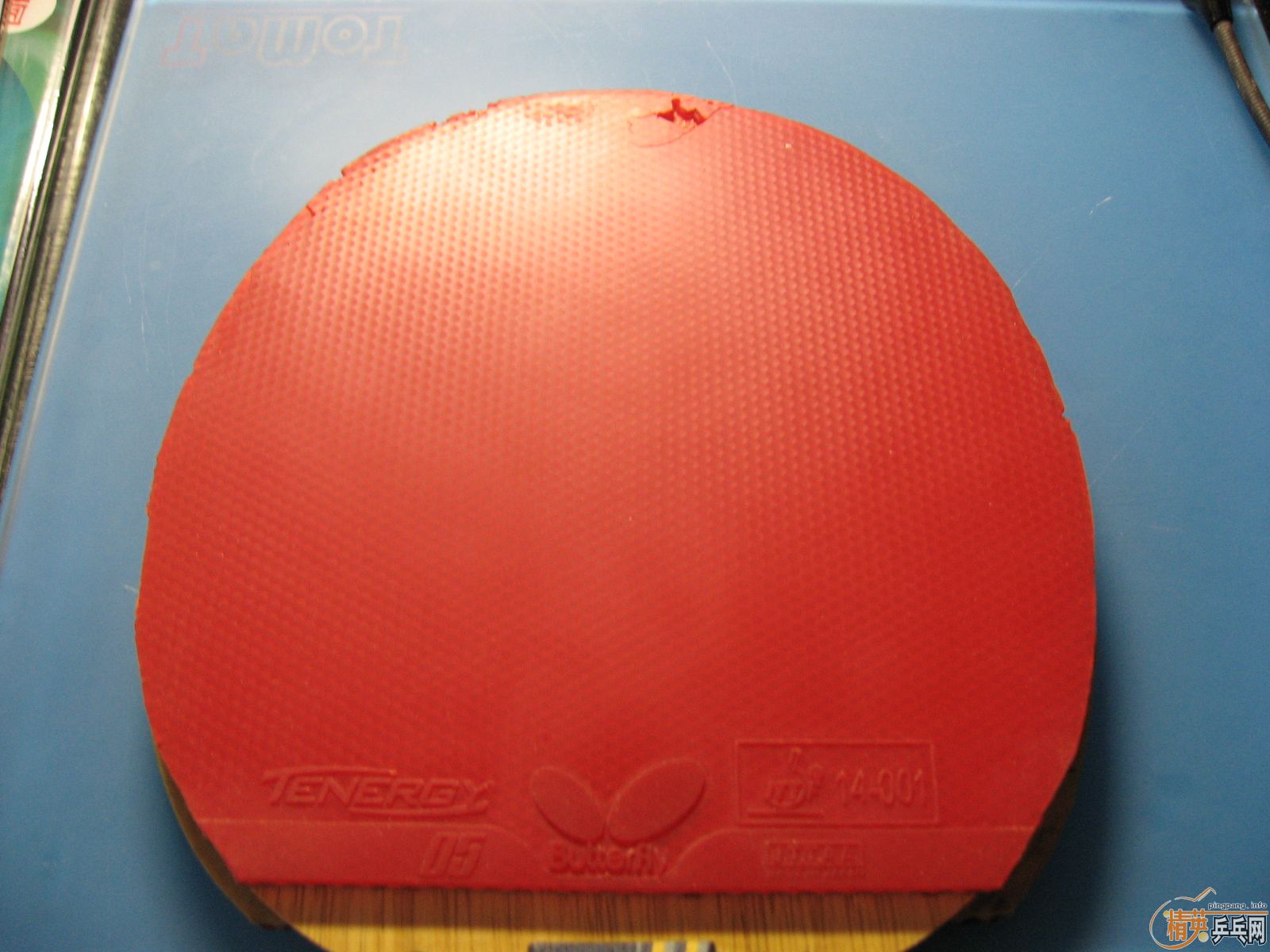 ��������T05��Almana sound Эͬ�Ƽ���100��