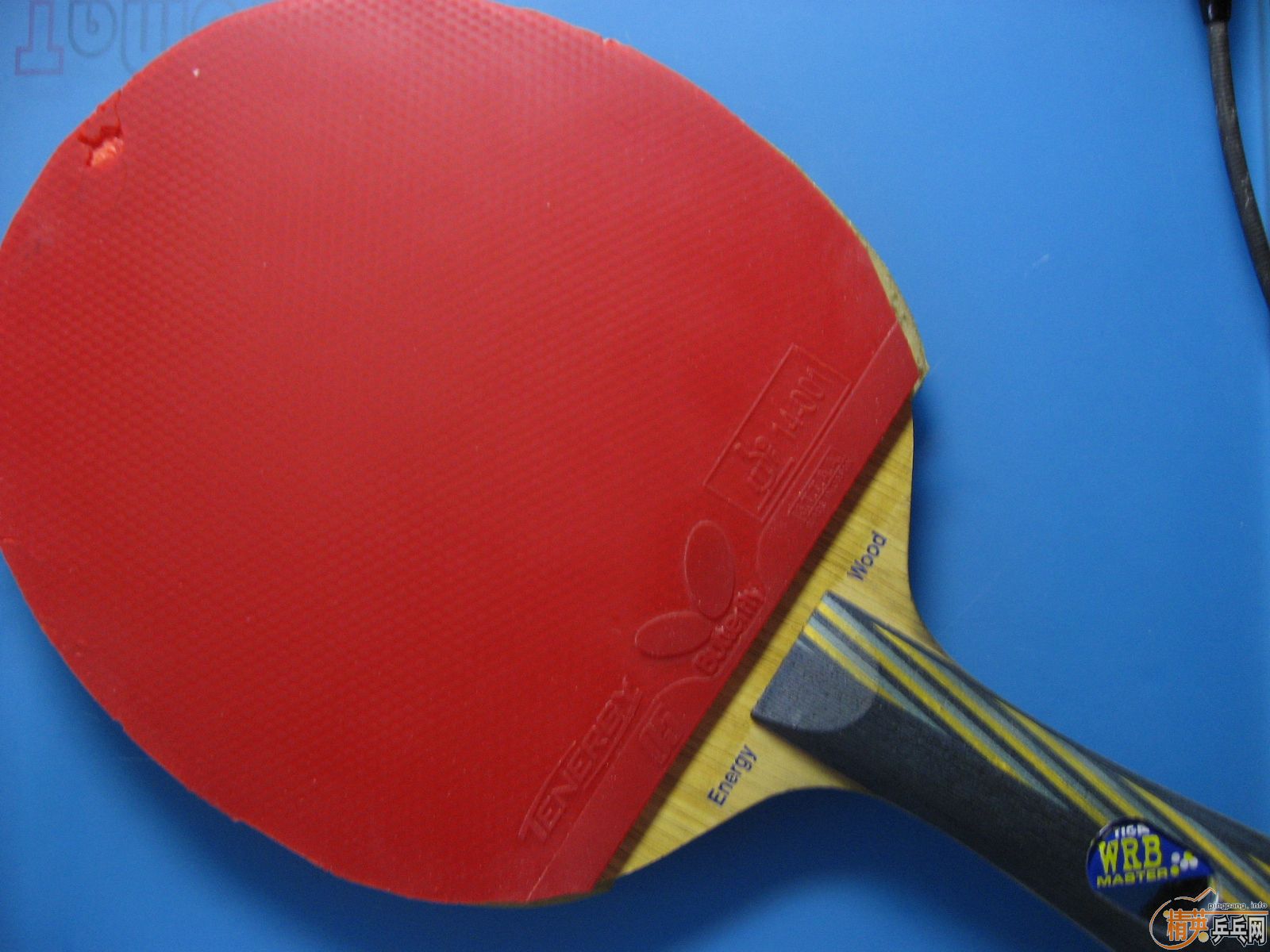 ��������T05��Almana sound Эͬ�Ƽ���100��