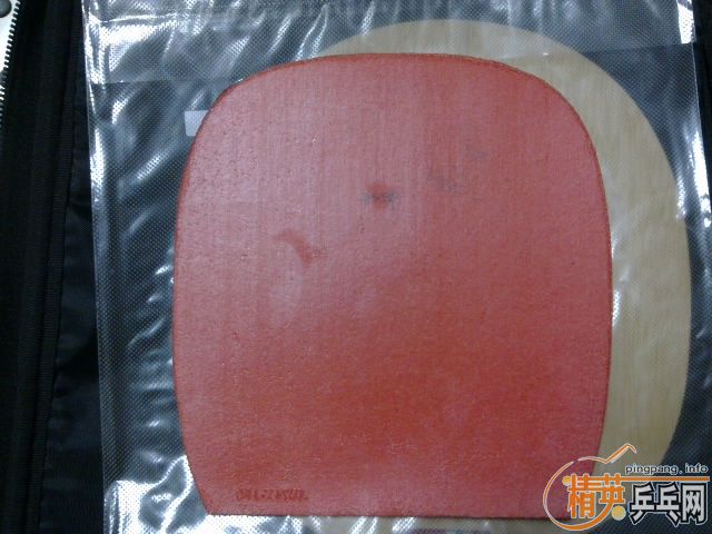 [��ͼ][ע��]���ź�ɫT05�����룩�����׽�