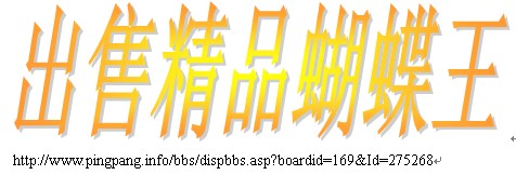 ��ҹ����С���ۡ�����������