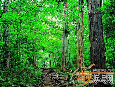 ľ�����Ĵ�˵