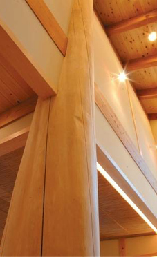 ľ�����Ĵ�˵