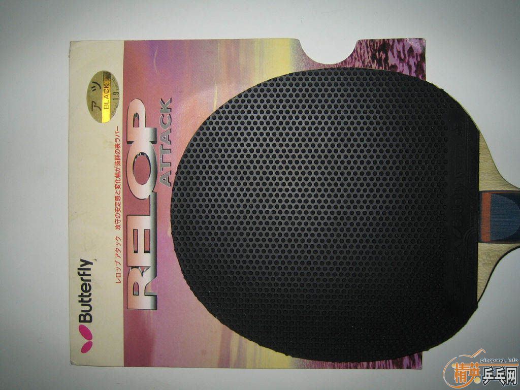 �����������ĵ��׽���һ��һ��