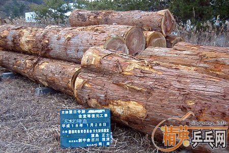 ľ�����Ĵ�˵