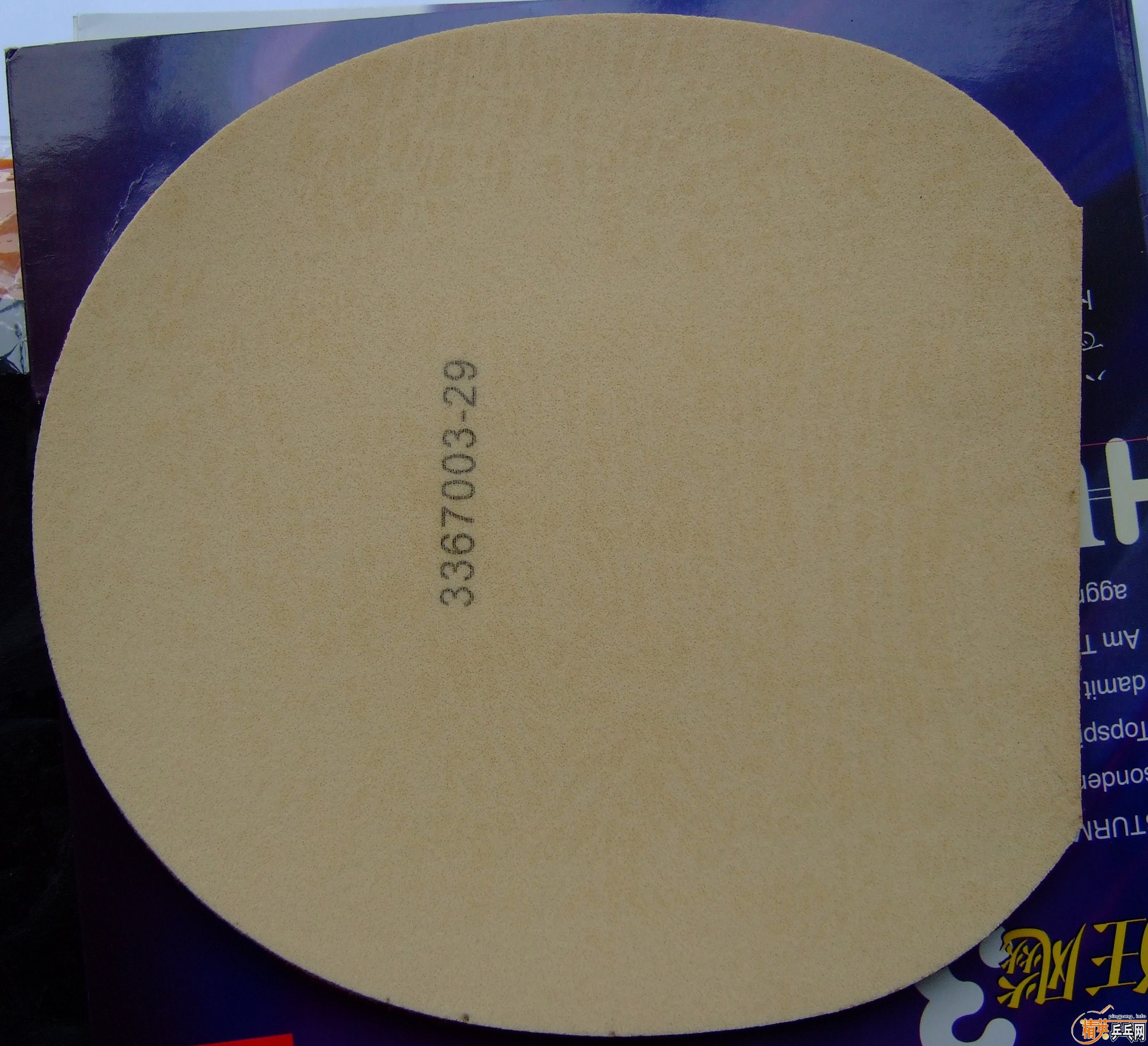 �������ո�µĺ�������¡��硱��֧��֧������������