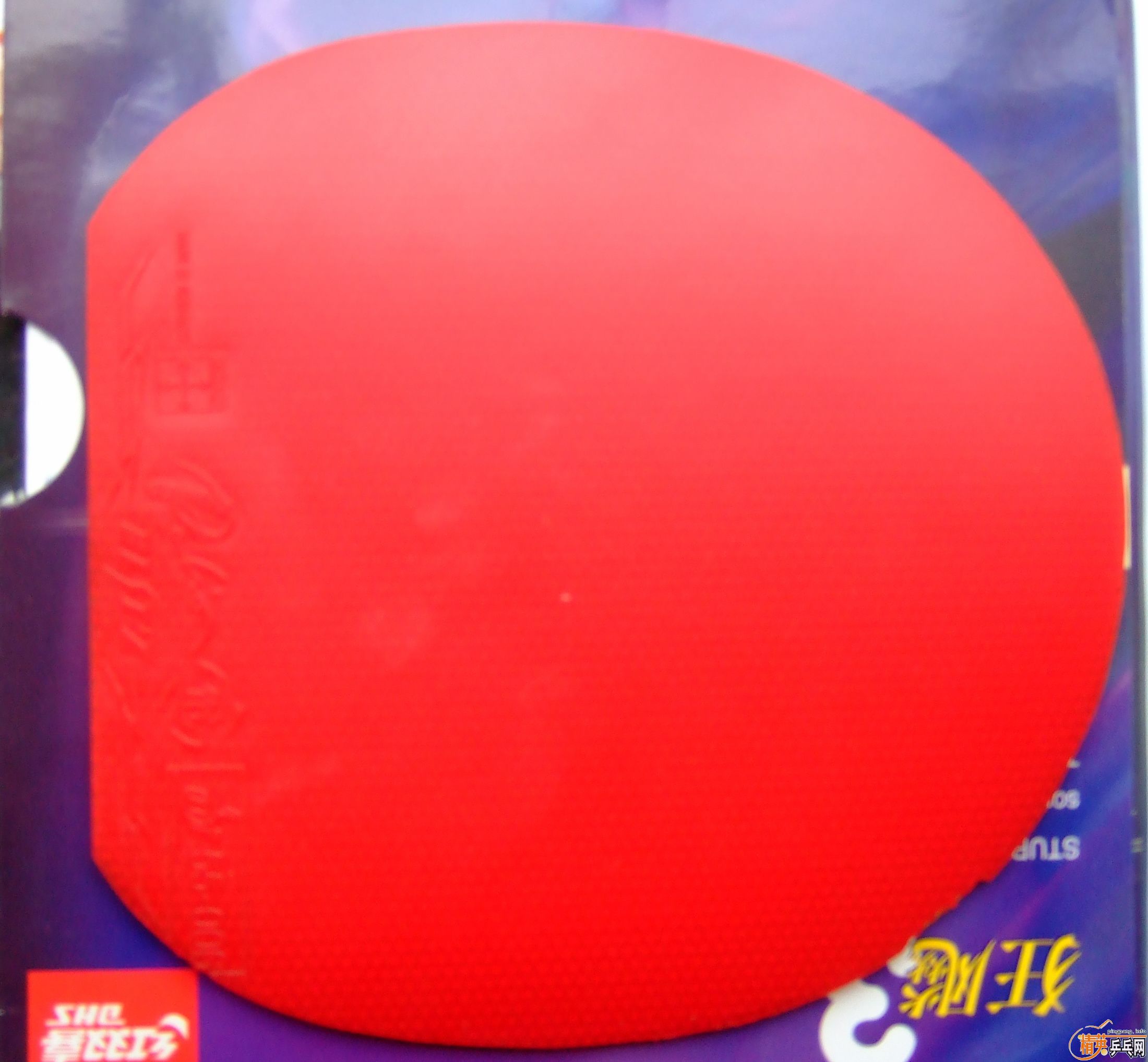 �������ո�µĺ�������¡��硱��֧��֧������������