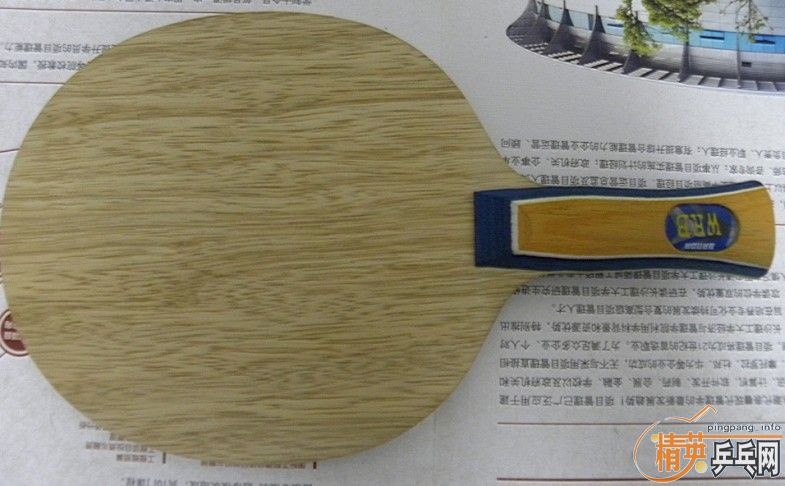 ����֧����Stiga-cl-cr(fl)��banda-orion-carbon(an)�����Ž�ƤTibhar-Genius+(74-009)