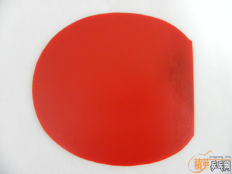 ����֧����Stiga-cl-cr(fl)��banda-orion-carbon(an)�����Ž�ƤTibhar-Genius+(74-009)