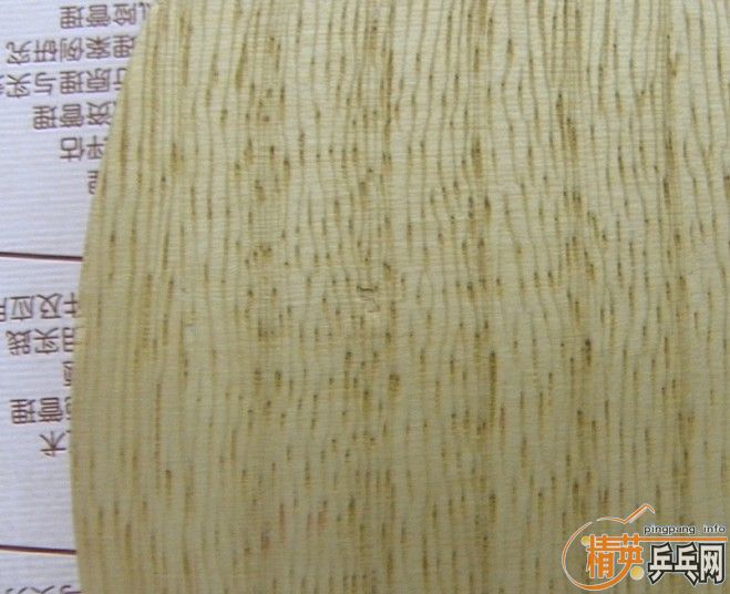 ����֧����Stiga-cl-cr(fl)��banda-orion-carbon(an)�����Ž�ƤTibhar-Genius+(74-009)