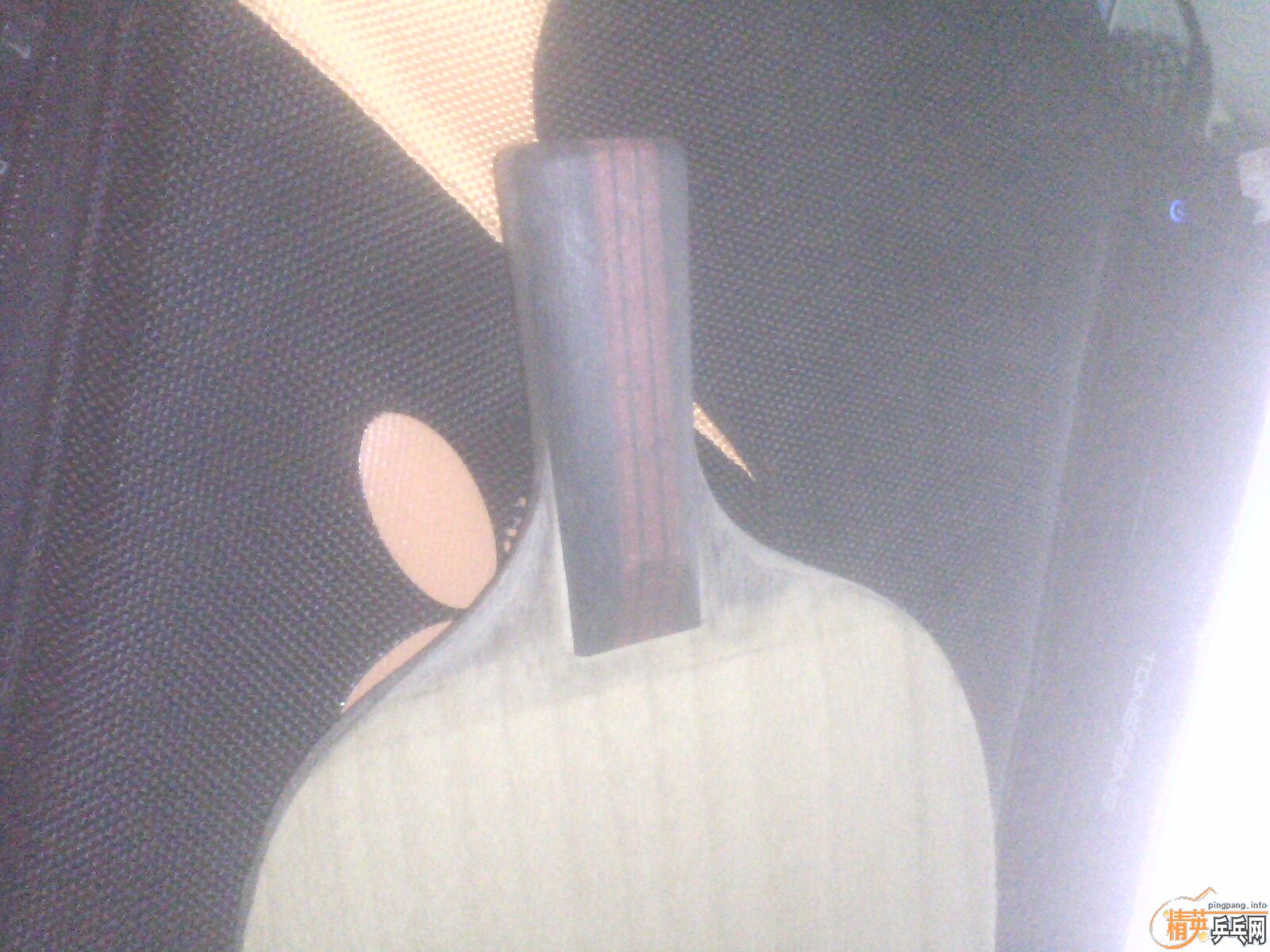 С�ܵ�һ�γ��ģ���ά��ˮ��̼������λ����ҪЦ������