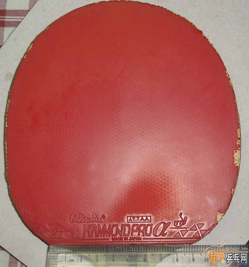 ���ź�ɫ����fx������jo�������Ⱒ����