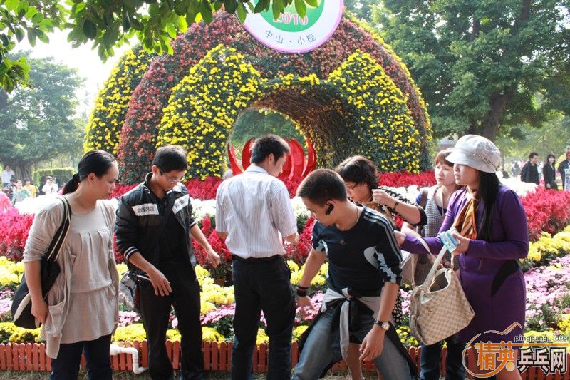 2010С魾չ֮ѡ