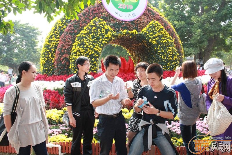 2010С魾չ֮ѡ