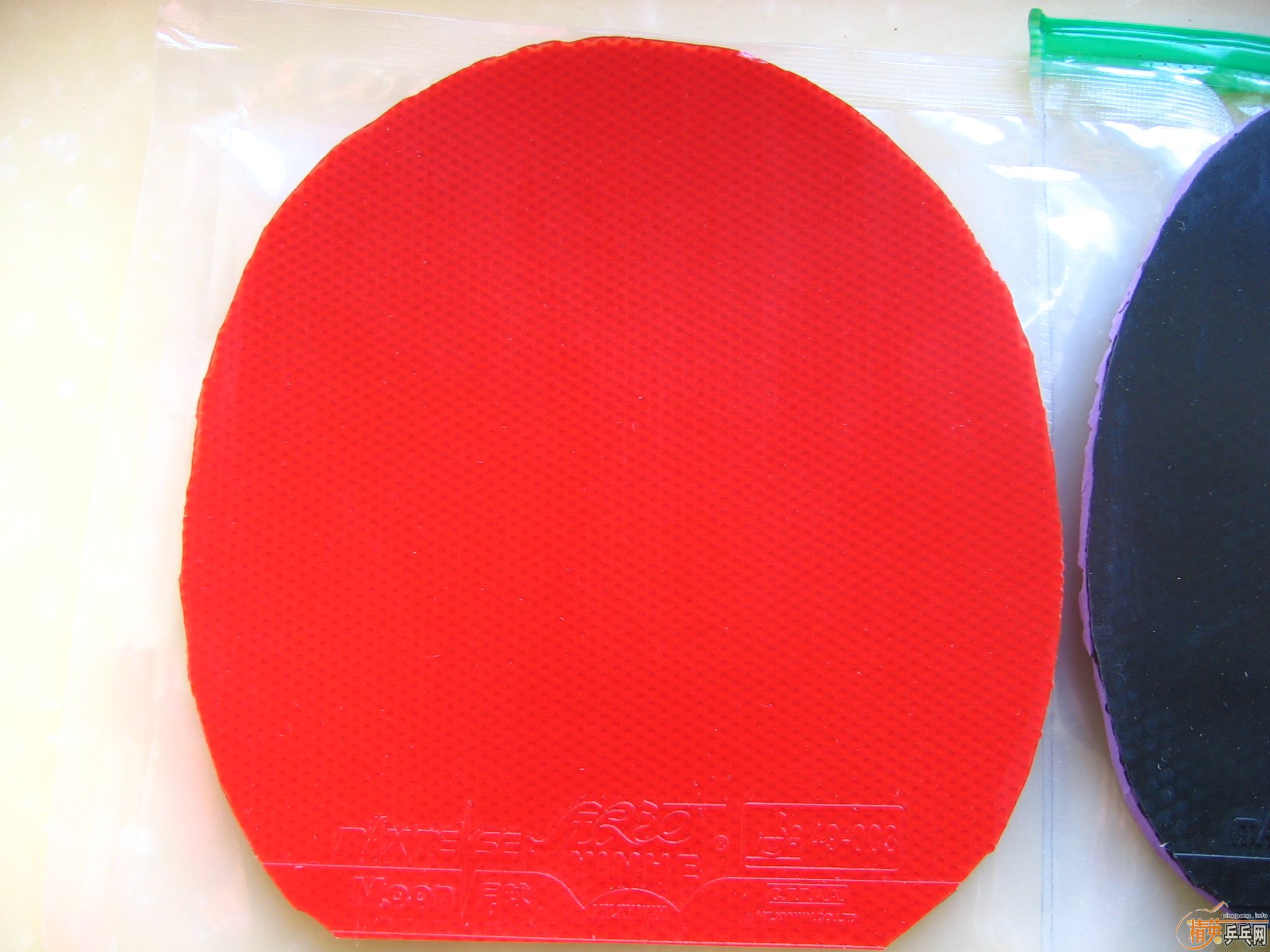 ����� �Ϻ���̫�� �캣������ �����ܻ���ʲô �������ͱ��˳�