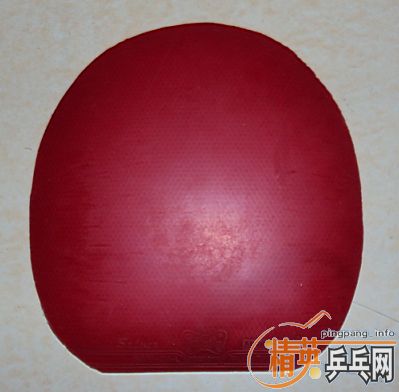 ��40�Ⱥ�ɫʡ��˹����EL��L��ͦ��������׽�