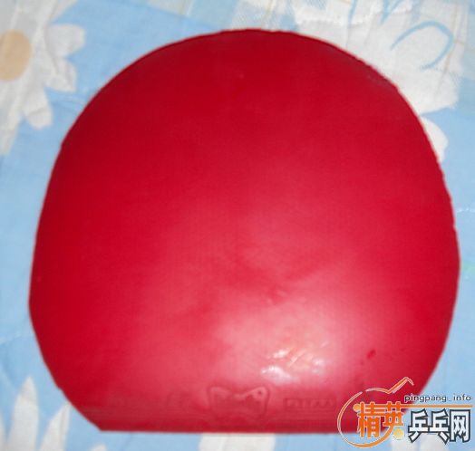 ��40�Ⱥ�ɫʡ��˹����EL��L��ͦ��������׽�