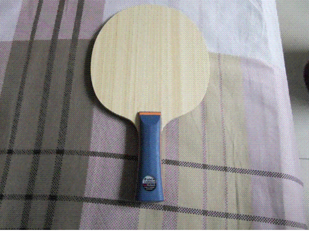 ������������̽��