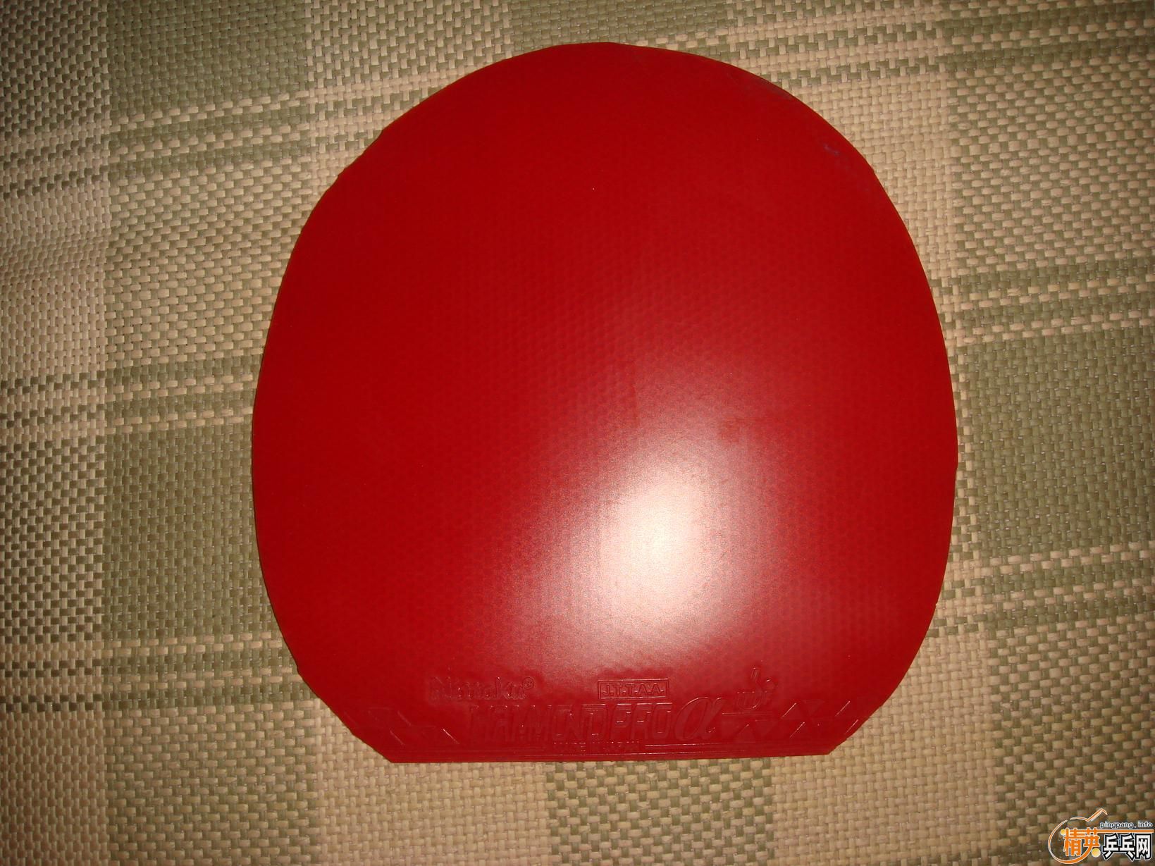 80Ԫ�����һ�ź�ɫ����