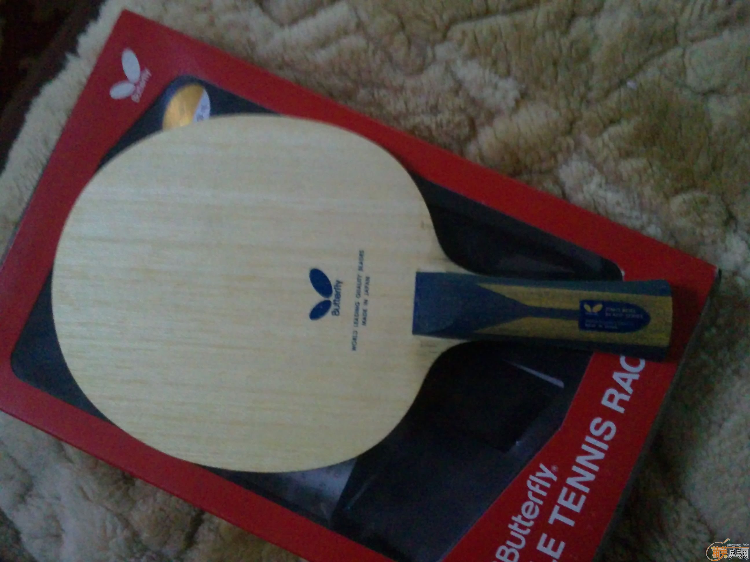 ��95�� ����ZLF