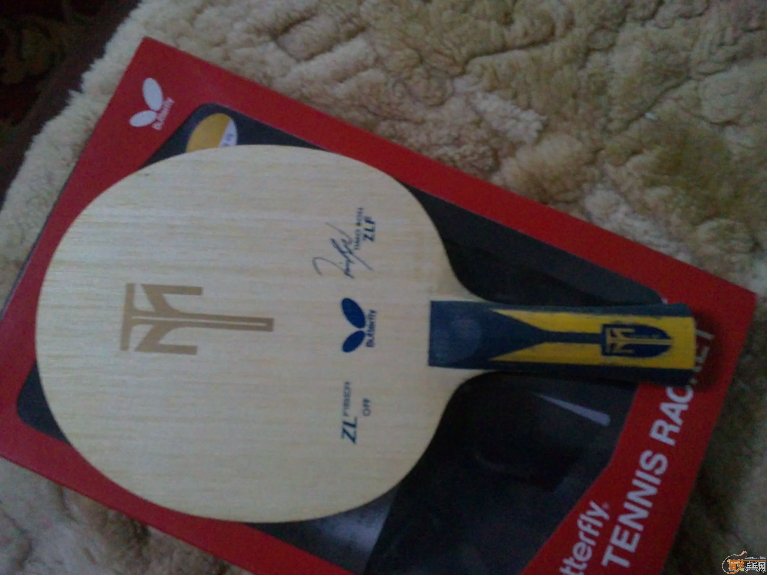 ��95�� ����ZLF