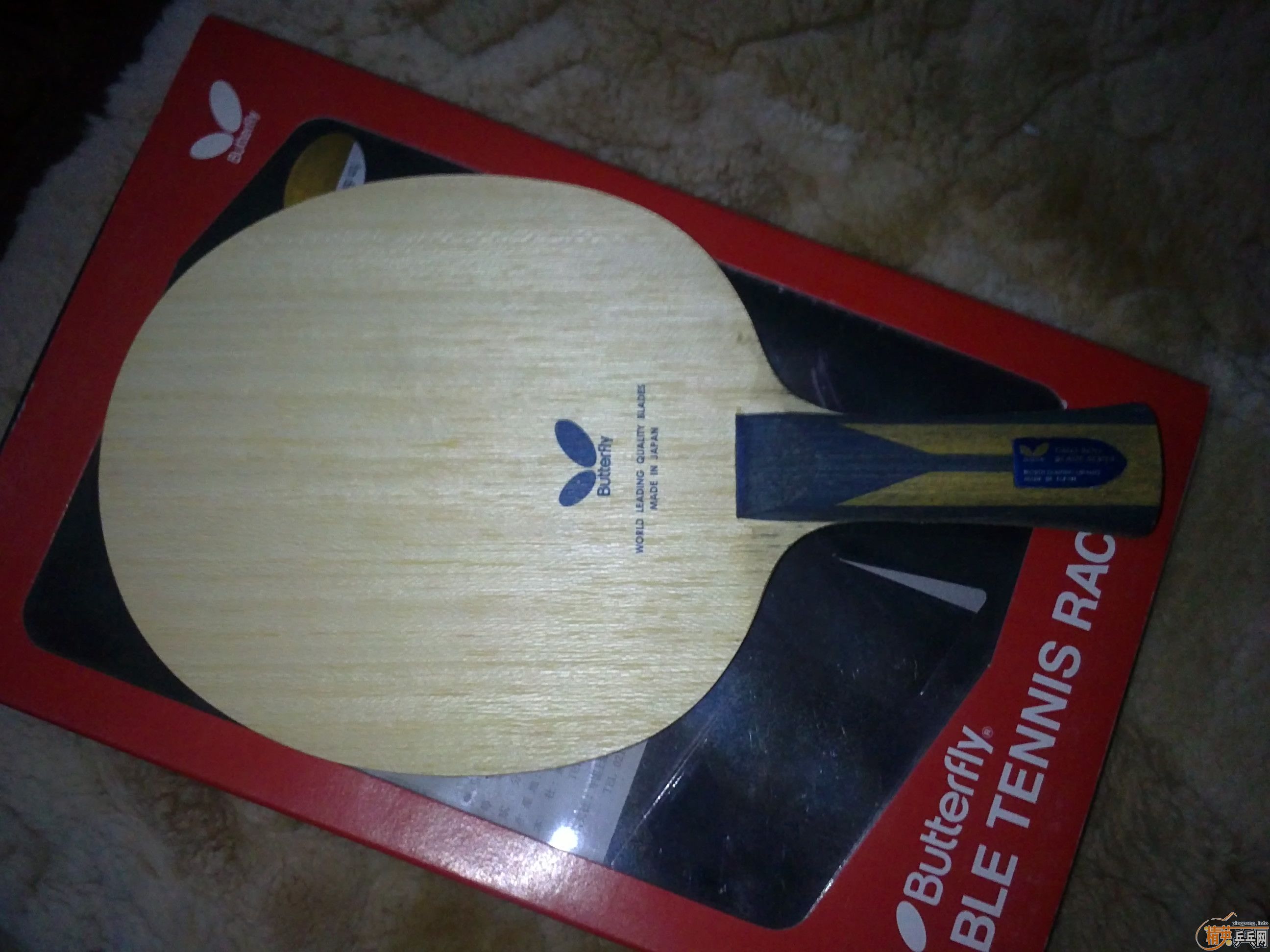 ��95�� ����ZLF